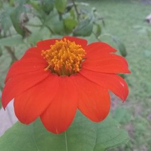 Meet your Posher, Bobbie jo